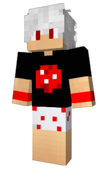 Minecraft skin PiPoX