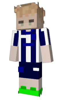 Minecraft skin tianguis