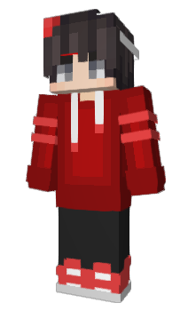 Minecraft skin Blockady