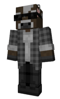 Minecraft skin Hedrix