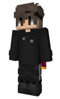 Minecraft skin LRIBSF