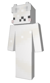 Minecraft skin Ok_Br0