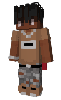 Minecraft skin poopcheck