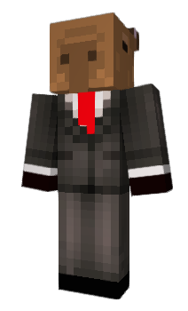 Minecraft skin fluxsh