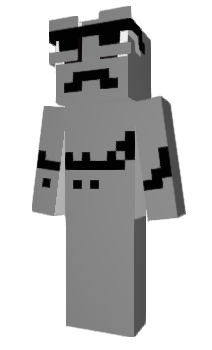 Minecraft skin LevelLevel