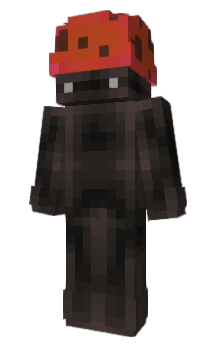 Minecraft skin oopsz