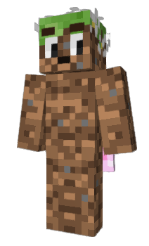 Minecraft skin Advancec