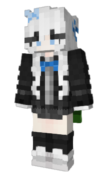 Minecraft skin apasiona