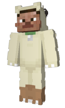 Minecraft skin onn512