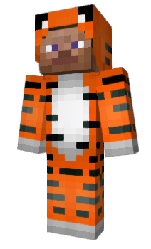 Minecraft скін по ніку reachcheats