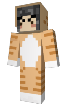 Minecraft skin Ponchoni