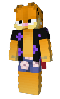 Minecraft skin Winnaar