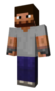 Minecraft skin Larmy