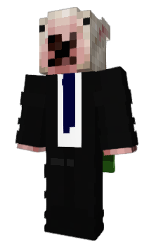 Minecraft skin WhyWts