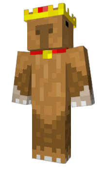 Minecraft skin Capyyy