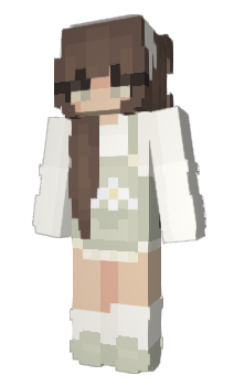 Minecraft skin WalletBrains