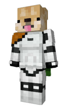 Minecraft skin Answor