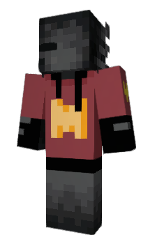 Minecraft skin notthebrave
