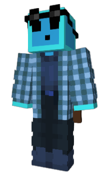 Minecraft skin blocj