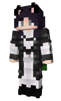 Minecraft skin KitiBro0610