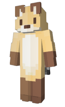 Minecraft skin multicam
