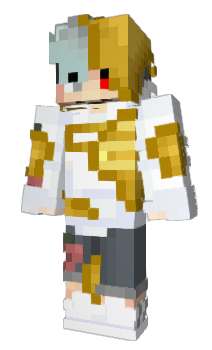 Minecraft skin DreamArmySystem