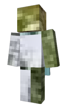 Minecraft skin Zouzou_gamer