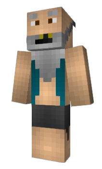 Minecraft skin Synopsis