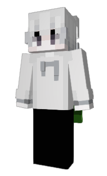 Minecraft skin venj