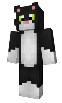 Minecraft skin Riscat