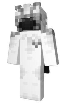 Minecraft skin White