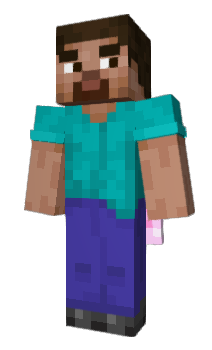 Minecraft skin wndenis