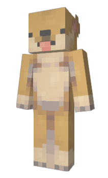 Doge Minecraft Skins