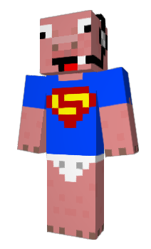 Minecraft skin R320