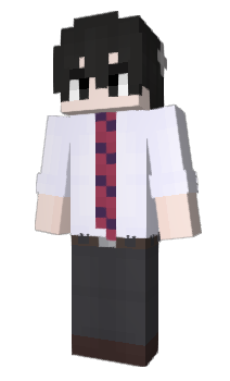 Minecraft skin RenoMedico