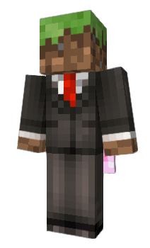 Minecraft skin SonixLool