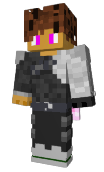 Minecraft skin R62