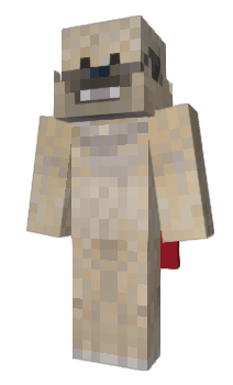 Minecraft skin Pug1e