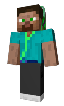 Minecraft skin MallardDuck