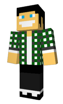 Minecraft skin domciapomcia