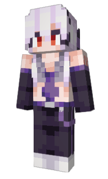 Minecraft skin VoidCla