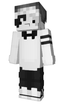 Minecraft skin Djezzy