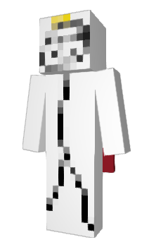 Minecraft skin ZestyXD