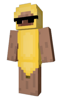 Minecraft skin blackshades