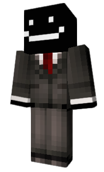 Minecraft skin salne