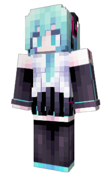 Minecraft skin Diskt