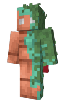 Minecraft skin CHAOTIC_ORCA