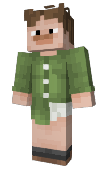 Minecraft skin bulkis