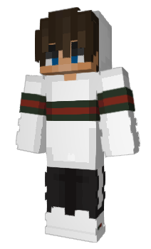 Minecraft skin akosbe