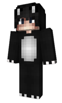 Minecraft skin CaptainPanezz